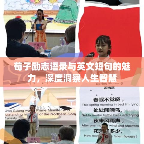 荀子励志语录与英文短句的魅力,深度洞察人生智慧