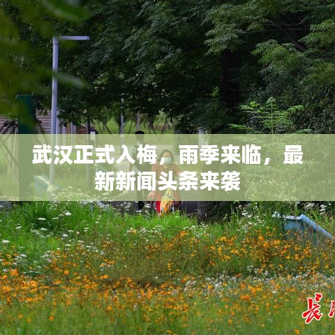 武汉正式入梅,雨季来临,最新新闻头条来袭