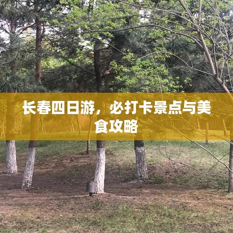 淡泊以明志，宁静以致远 第3页