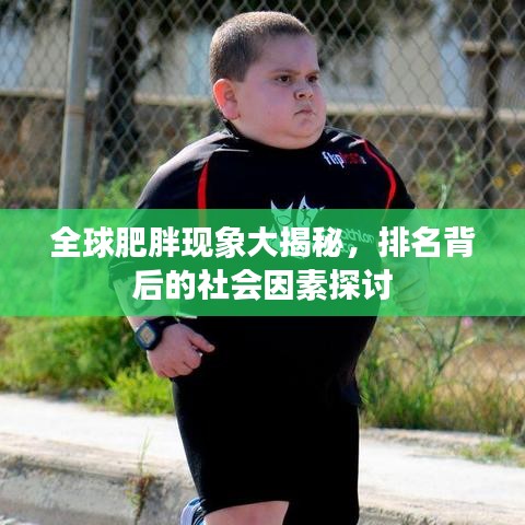 全球肥胖现象大揭秘,排名背后的社会因素探讨