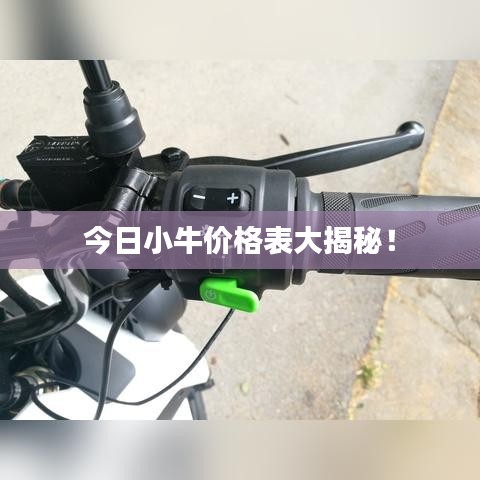 今日小牛价格表大揭秘!
