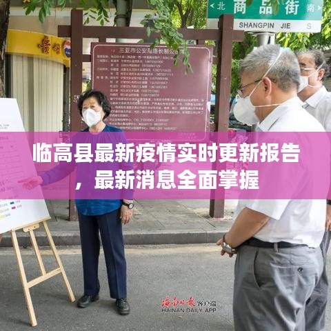临高县最新疫情实时更新报告，最新消息全面掌握