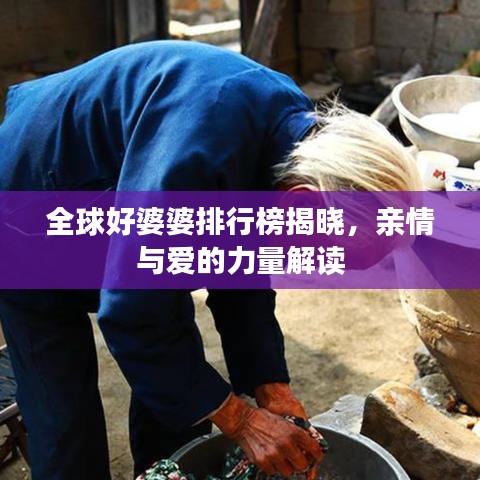 全球好婆婆排行榜揭晓,亲情与爱的力量解读