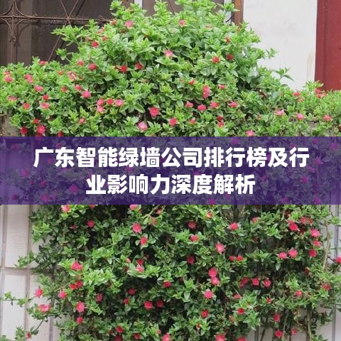 广东智能绿墙公司排行榜及行业影响力深度解析