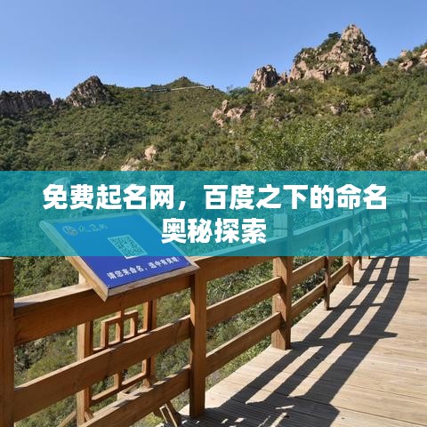 免费起名网,百度之下的命名奥秘探索