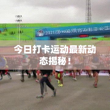 今日打卡运动最新动态揭秘!