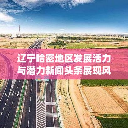 辽宁哈密地区发展活力与潜力新闻头条展现风采