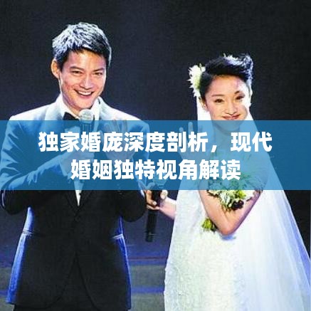 独家婚庞深度剖析,现代婚姻独特视角解读