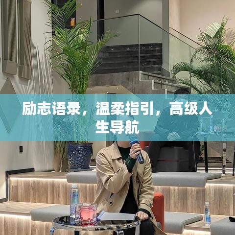励志语录，温柔指引，高级人生导航