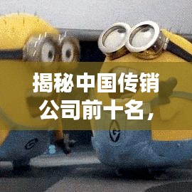 揭秘中国传销公司前十名,警示风险,远离陷阱!