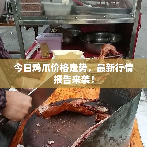 今日鸡爪价格走势，最新行情报告来袭！