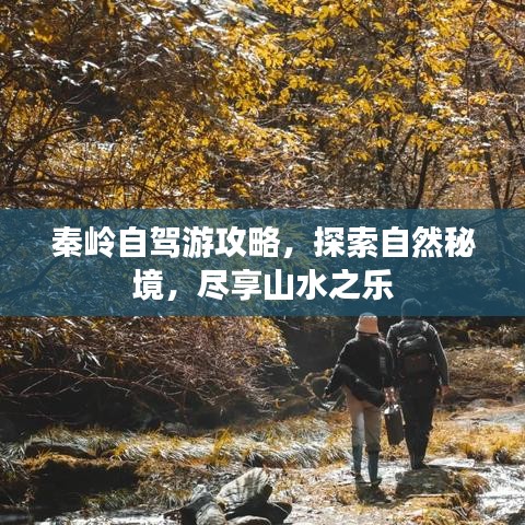 秦岭自驾游攻略,探索自然秘境,尽享山水之乐