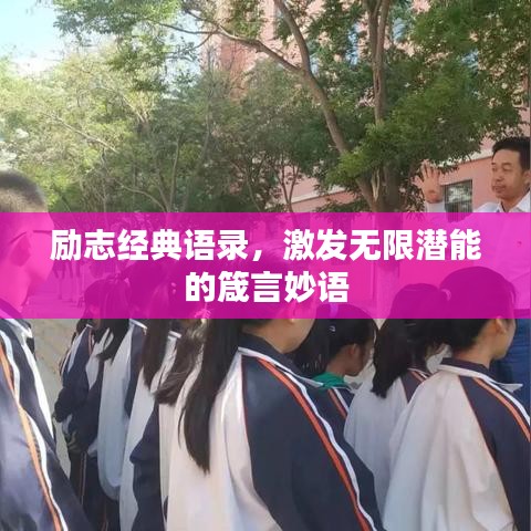 励志经典语录,激发无限潜能的箴言妙语