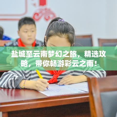 盐城至云南梦幻之旅,精选攻略,带你畅游彩云之南!