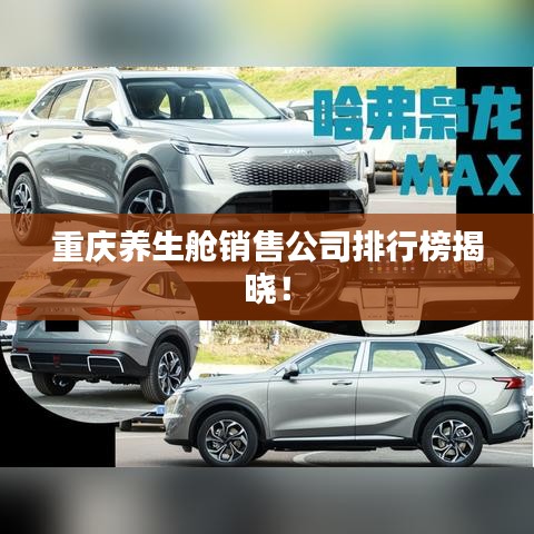 重庆养生舱销售公司排行榜揭晓！