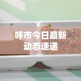 呼市今日最新动态速递