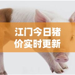 江门今日猪价实时更新,最新行情查询