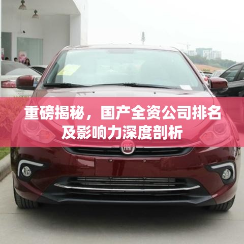 重磅揭秘,国产全资公司排名及影响力深度剖析