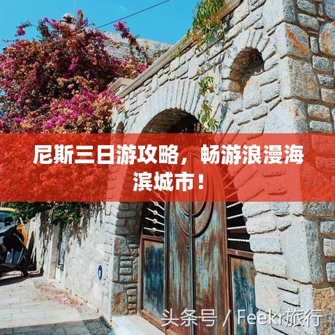 尼斯三日游攻略,畅游浪漫海滨城市!