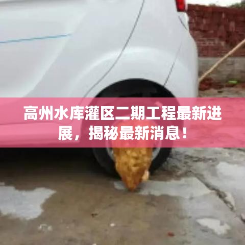 高州水库灌区二期工程最新进展,揭秘最新消息!