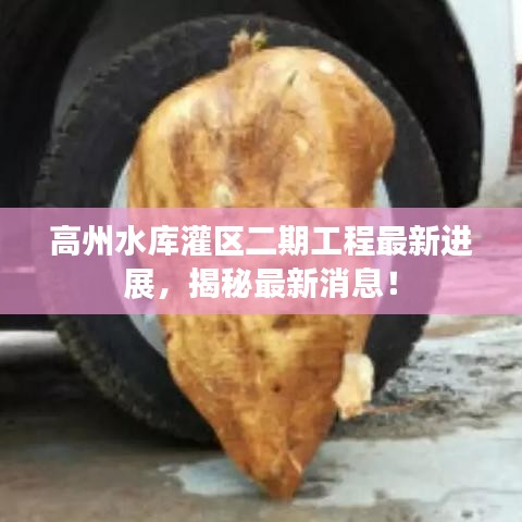 高州水库灌区二期工程最新进展,揭秘最新消息!