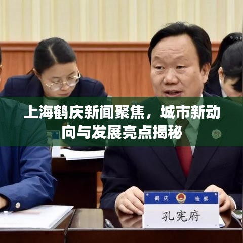 上海鹤庆新闻聚焦,城市新动向与发展亮点揭秘