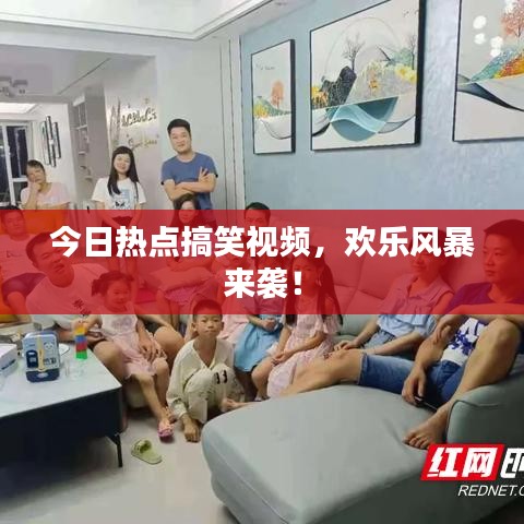 今日热点搞笑视频,欢乐风暴来袭!