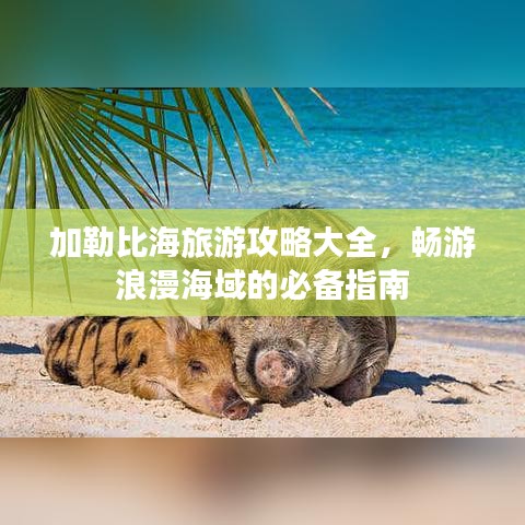 加勒比海旅游攻略大全,畅游浪漫海域的必备指南