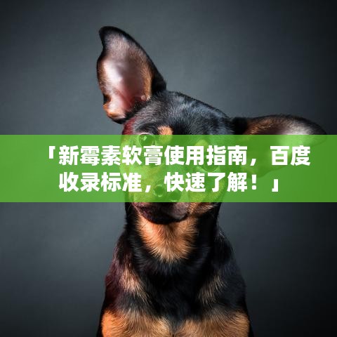 「新霉素软膏使用指南,百度收录标准,快速了解!」