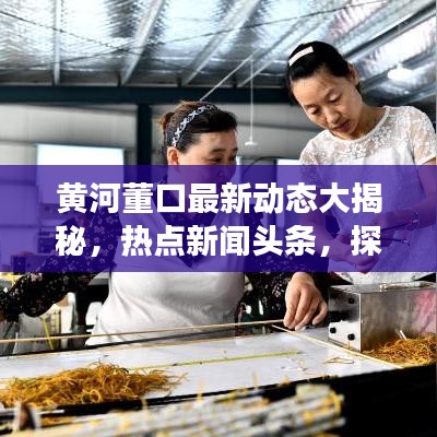 黄河董口最新动态大揭秘，热点新闻头条，探寻董口地区发展前沿