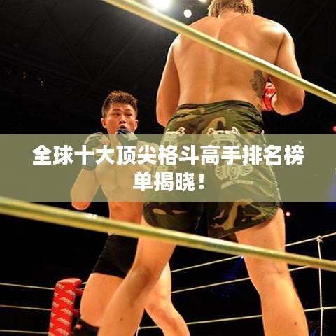 全球十大顶尖格斗高手排名榜单揭晓！