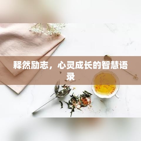 释然励志,心灵成长的智慧语录