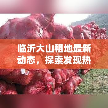 临沂大山租地最新动态,探索发现热线电话公开!