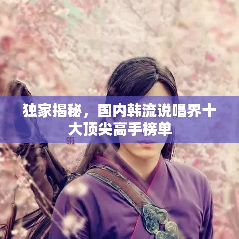 独家揭秘,国内韩流说唱界十大顶尖高手榜单