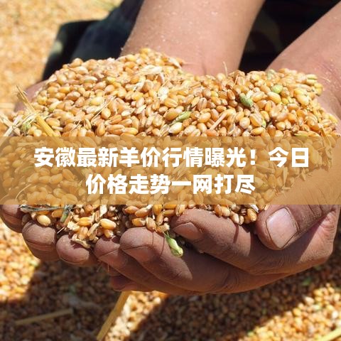 安徽最新羊价行情曝光!今日价格走势一网打尽