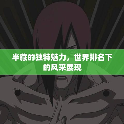 半藏的独特魅力,世界排名下的风采展现