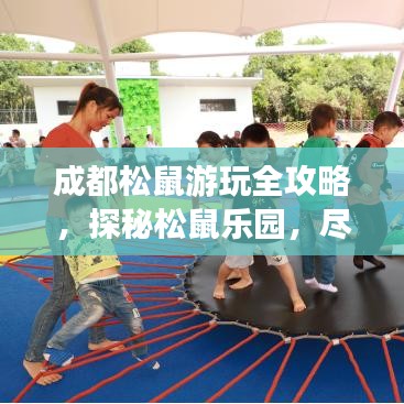 成都松鼠游玩全攻略,探秘松鼠乐园,尽享自然魅力!