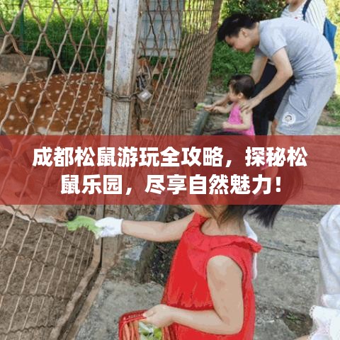 成都松鼠游玩全攻略,探秘松鼠乐园,尽享自然魅力!