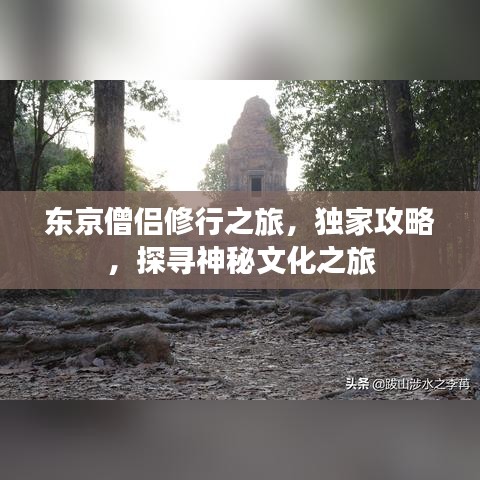 东京僧侣修行之旅,独家攻略,探寻神秘文化之旅