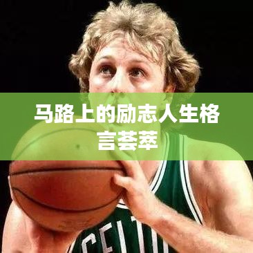 马路上的励志人生格言荟萃