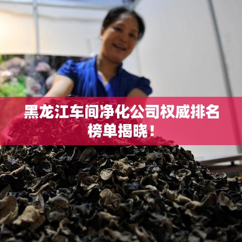 黑龙江车间净化公司权威排名榜单揭晓!