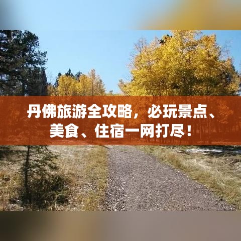 丹佛旅游全攻略,必玩景点、美食、住宿一网打尽!