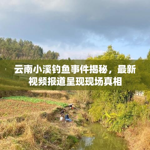 云南小溪钓鱼事件揭秘,最新视频报道呈现现场真相