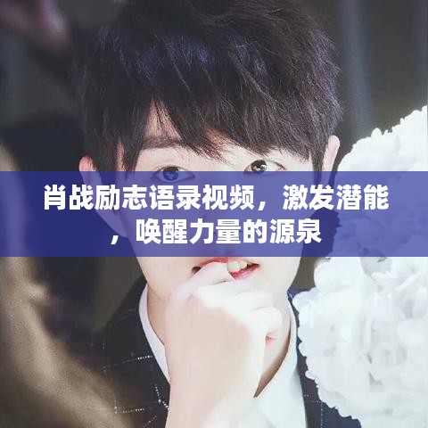 肖战励志语录视频,激发潜能,唤醒力量的源泉