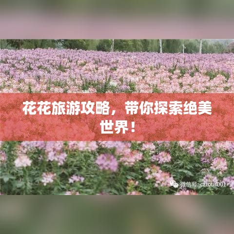 花花旅游攻略,带你探索绝美世界!