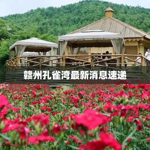 赣州孔雀湾最新消息速递