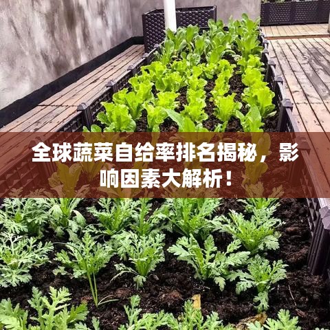 全球蔬菜自给率排名揭秘,影响因素大解析!