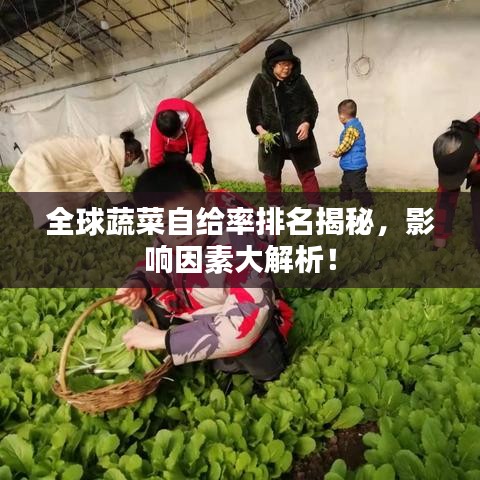 全球蔬菜自给率排名揭秘,影响因素大解析!