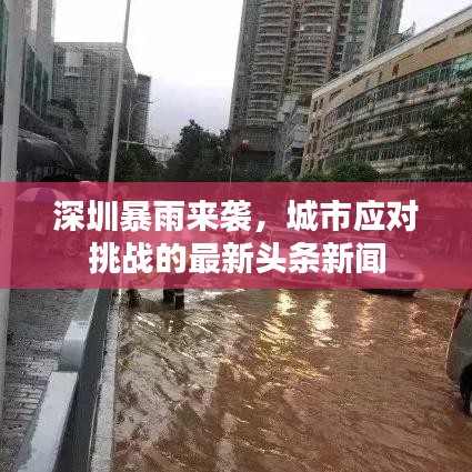深圳暴雨来袭,城市应对挑战的最新头条新闻