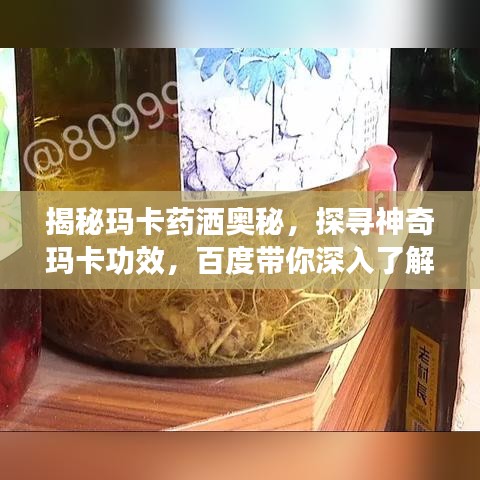 揭秘玛卡药洒奥秘,探寻神奇玛卡功效,百度带你深入了解